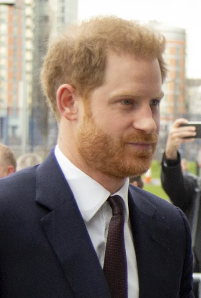 Prince Harry, Duke of Sussex, in a navy suit at a public event